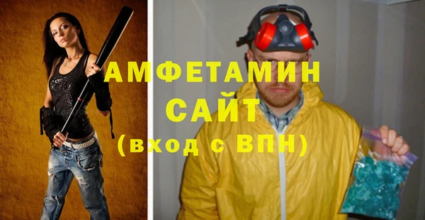 хмурый Аркадак
